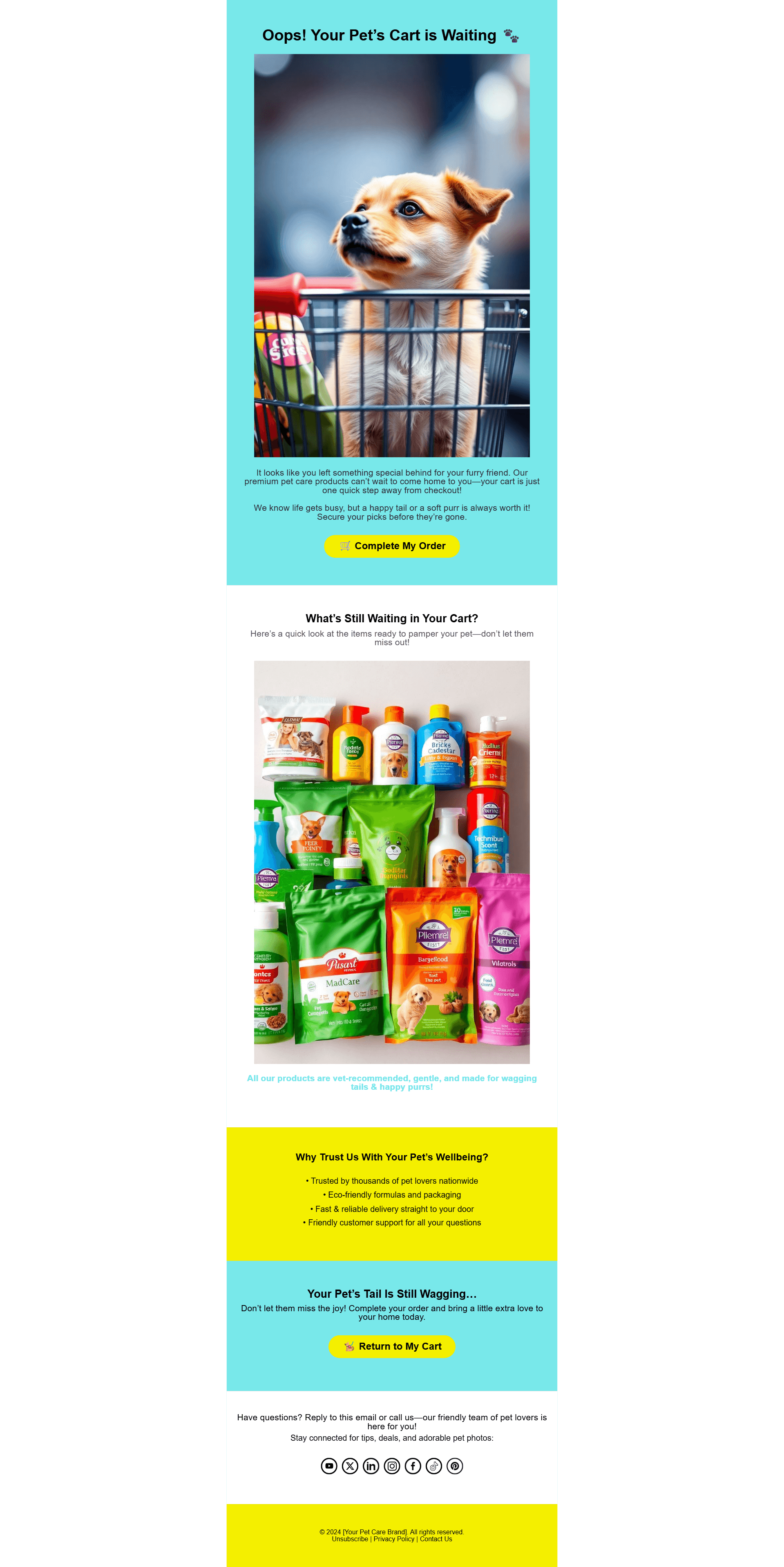 Abandoned cart email