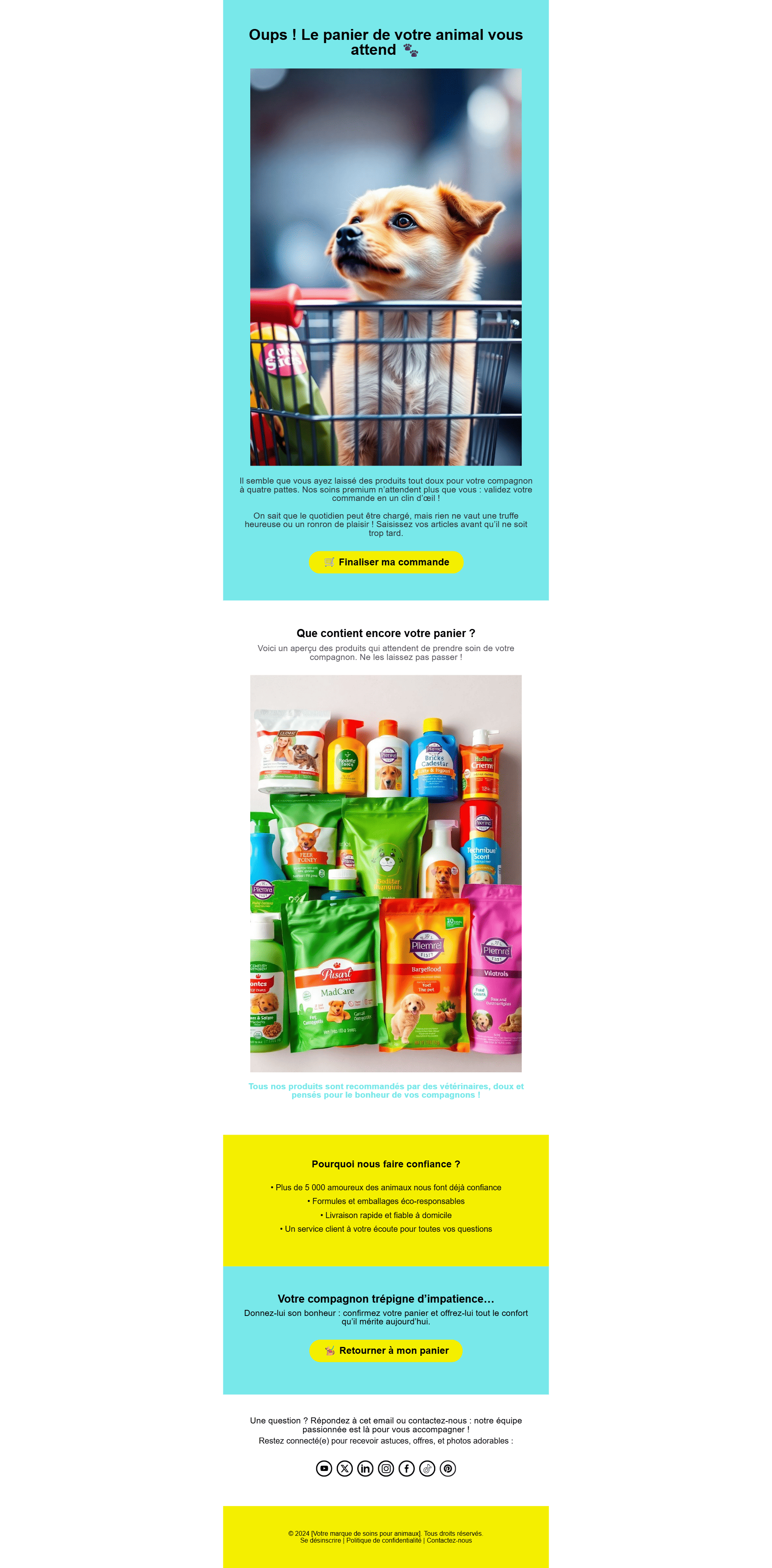 E-mail de panier abandonné